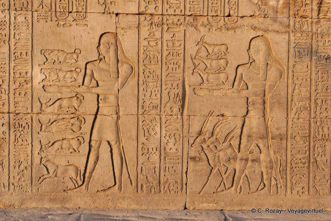 Rappresentazione Gazzelle e bovini offerti, Kom Ombo Tempio - Egitto