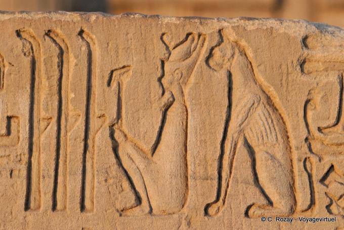 Trampoli e god Bastet gatto seduta dietro il re, rilievo, il tempio di Kom Ombo - Egitto