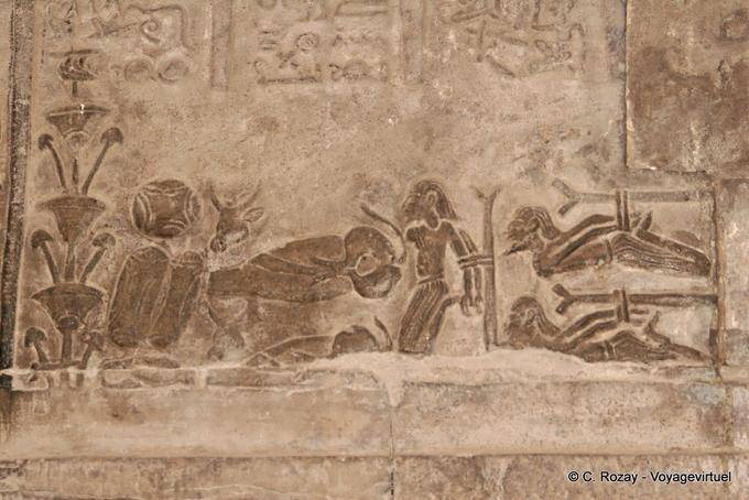 Scena della tortura, il tempio di Kom Ombo - Egitto