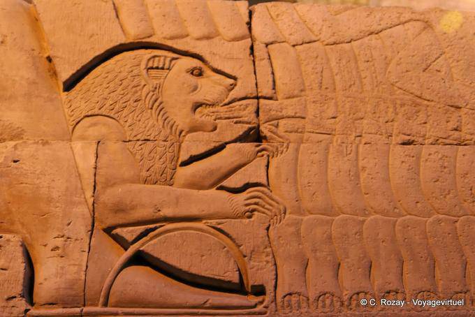 Il Leone, dettaglio di una scultura, il tempio di Kom Ombo - Egitto