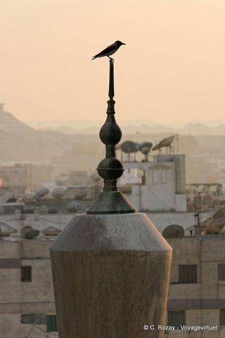 Uccello in cima a un minareto, Cairo - Egitto