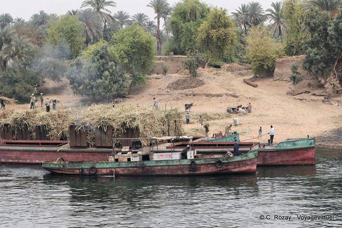 Caricamento colture chiatte, rive del Nilo vicino a Luxor - Egitto