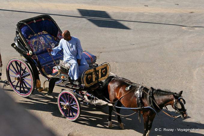 Caléche di Luxor in attesa del cliente - Egitto