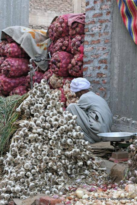 Profusion di diffusione aglio, Luxor - Egitto