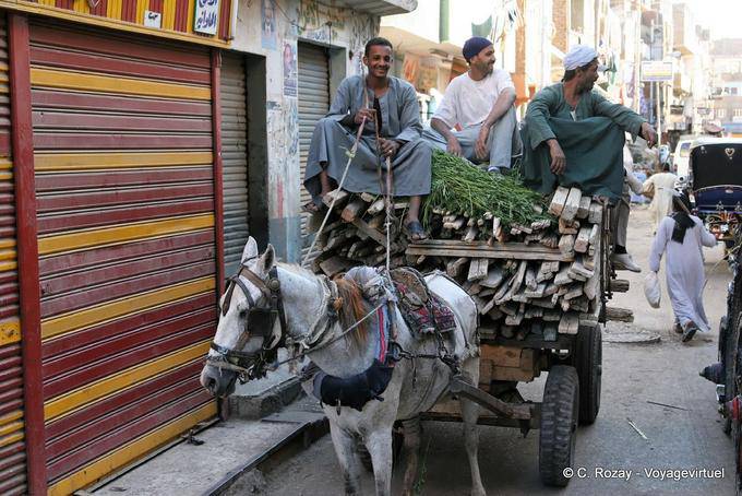 Commerciante di legname Truck, Luxor - Egitto