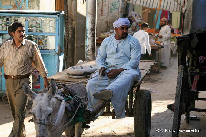 Haroun el Poussah sul suo carretto, Luxor - Egitto