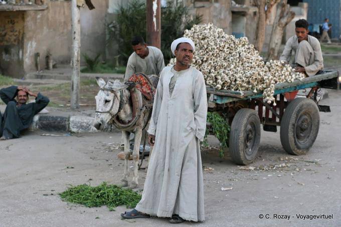 Marchand aglio, Luxor - Egitto