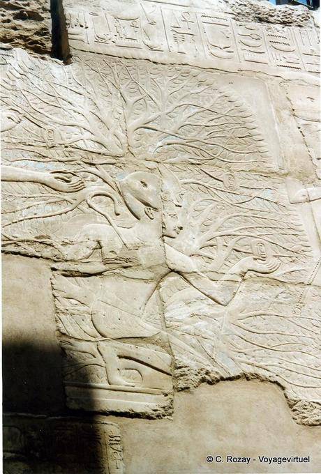 Thoth ha scritto il nome di Seti i primi frutti del Tempio albero-iched Karnak - Egitto