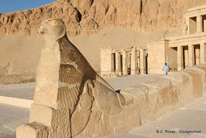 La statua falco Dio Horus sulla rampa del secondo cortile del tempio di Hatshepsut - Egitto