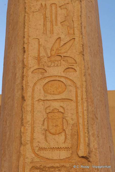 Beetle in una cartuccia, Tempio di Hatshepsut - Egitto