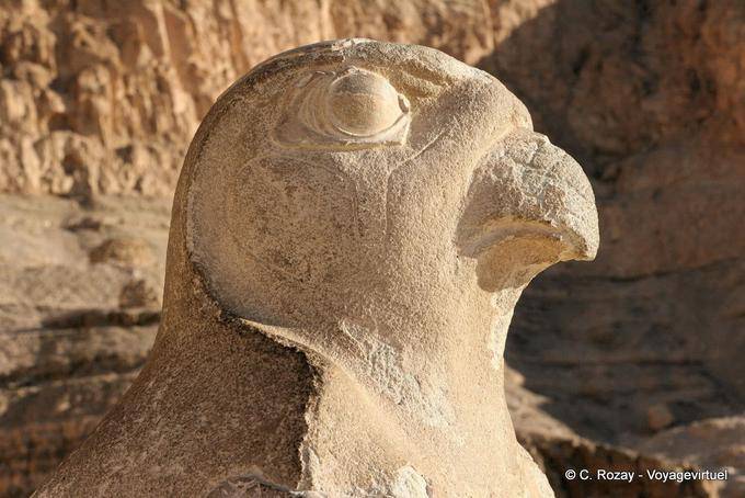 Falco Profilo Horus, il Tempio di Hatshepsut - Egitto