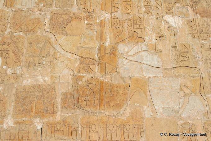 Rappresentanza Hathor vacca leccare la mano del Faraone, Tempio di Hatshepsut - Egitto