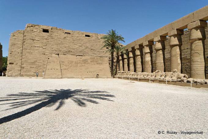 Palm ombra nel cortile di fronte al secondo pilone, tempio di Karnak - Egitto