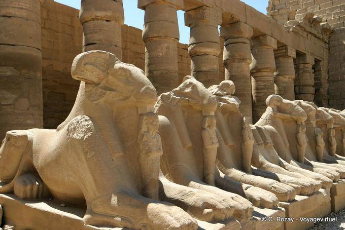 Fila di Sphinx Bubastites portico del primo cortile, tempio di Karnak - Egitto