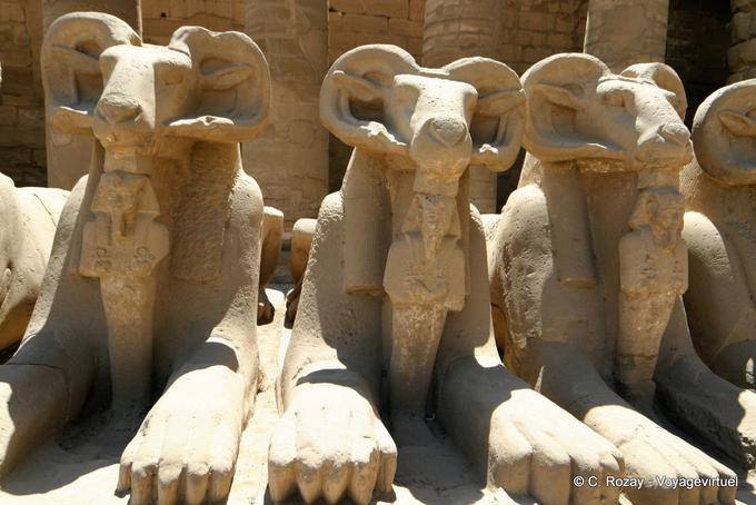 Zampe Lion della Sfinge rams nella Faraone, Tempio di Karnak - Egitto
