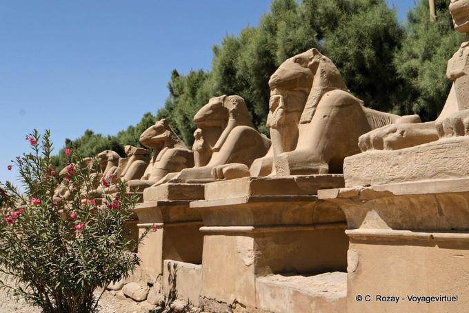 Ram-capo sfingi vicolo all'ingresso sito Karnak - Egitto