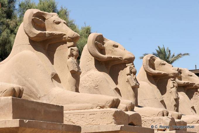 Ram-capo sfingi, divinità dalla testa di ariete del pantheon egizio, tempio di Karnak - Egitto