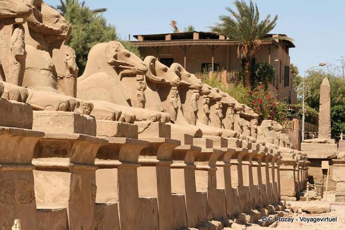 Allineamento del dromos Sphynx, tempio di Karnak - Egitto