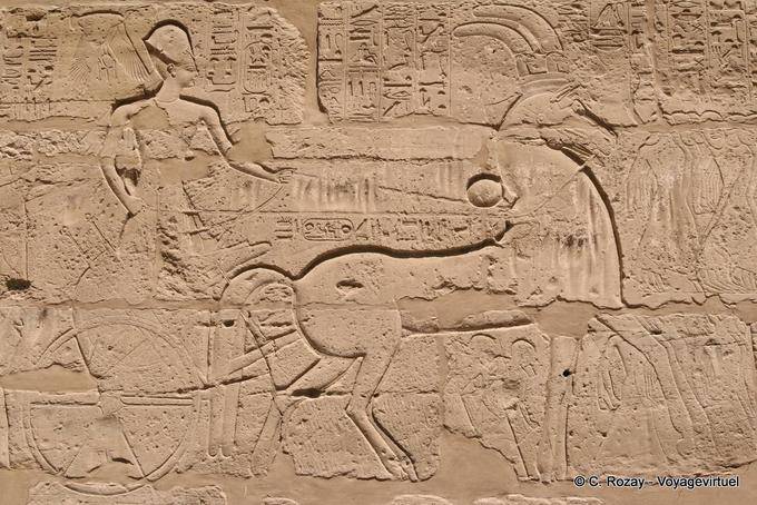 Faraone affresco guida il suo carro, tempio di Karnak - Egitto