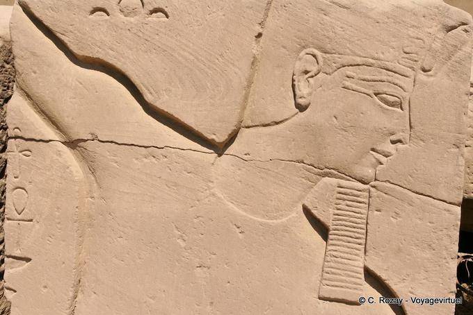 Profilo Faraone con barba finta e corona Deshret, Karnak - Egitto