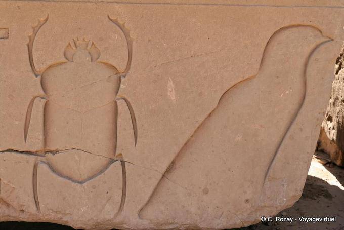 Beetle e uccello, sollievo incasso, tempio di Karnak - Egitto
