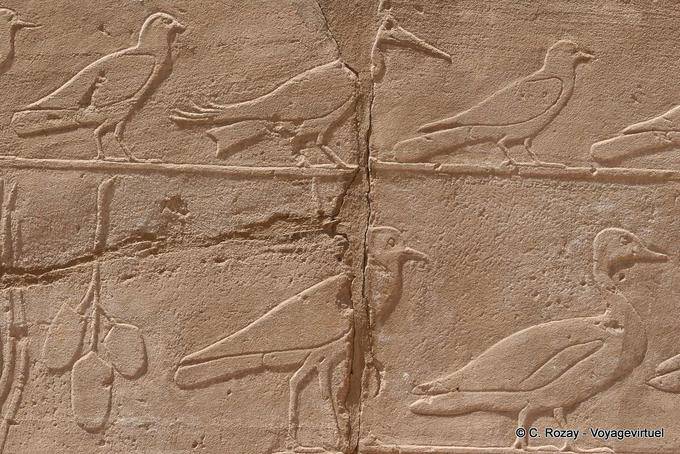 Sfilata di diversi uccelli, sollievo, tempio di Karnak - Egitto