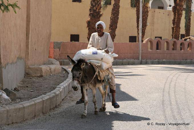 L'uomo su un asino con il suo carico, strada Medinet Habu - Egitto