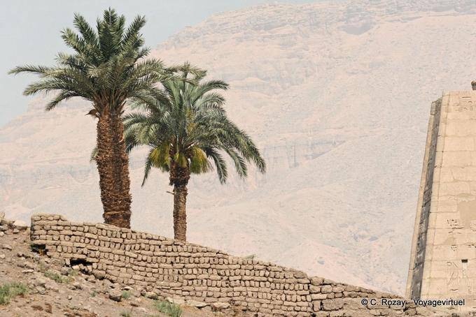 Palme dietro un muro antico, Medinet Habu - Egitto