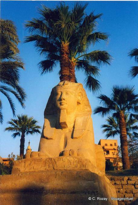 Sfinge testa di re Nectanebo, Tempio di Luxor - Egitto