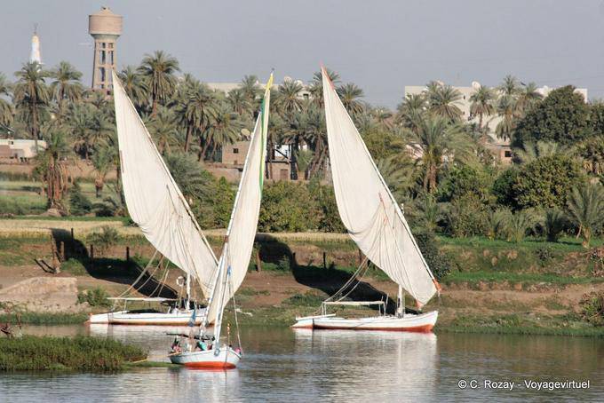 Vele trapezoidali e palme Nile - Egitto