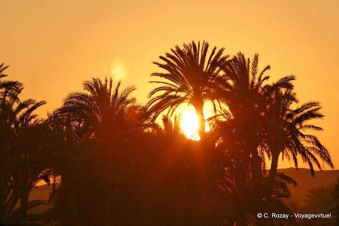 Tramonto dietro le palme - Egitto