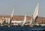 Feluccas rivolgendosi a vento, Aswan, Egitto.