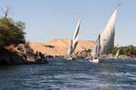 Tra due isole, gara feluche, Aswan, Egitto.