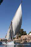 Vela Feluca trapezio ondeggiante, Aswan, Egitto.