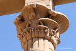 Particolare del capitale di una colonna, il Tempio di Philae, Egitto.