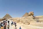 Sphynx nel percorso delle piramidi di Giza, Egitto.
