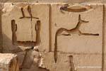 Rilievi sul muro del complesso funerario, Saqqara, Egitto.