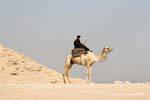 Camel Police, Saqqara, Egitto.