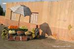 Piccolo mercato di frutta sul bordo della strada, Saqqara, Il Cairo, Egitto.