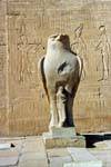Statua di Horus il dio-falco di fronte a un pilone, tempio di Edfu, Egitto.