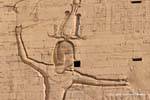 Faraone Tolomeo XII in nemici per i capelli, sollievo pilone, tempio di Edfu, Egitto.