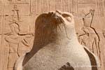 Statua del dio falco Horus (close-up), entrato nel tempio, Edfu, Egitto.