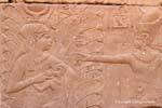 Hathor allatta il figlio Harsomtous, parete Mammisi (città natale), il Tempio di Edfu, Egitto.
