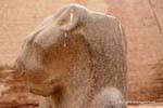 Goddess Menhit (Menhyt), consorte di Khnum, Tempio Esna, Egitto.
