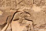 Khnum, il dio dalla testa di ariete, Tempio Esna, Egitto.