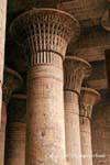 Set di colonne floreali come le colonne in pietra di papiro Hall, Tempio di Khnum, Esna, Egitto.