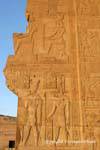 Frammento di bassorilievo su un muro rotto, figure di Horus e Sobek Tempio di Kom Ombo, Egitto.