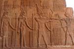 Horus con il geroglifico della Sed festival di Tolomeo VI, il tempio di Kom Ombo, Egitto.