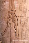 Navel e regina tappo su una colonna della sala ipostila, Tempio di Kom Ombo, Egitto.