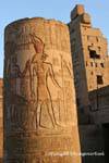 Horus e TasetNofret, colore bassorilievi su una colonna del tempio di Kom Ombo troncato, Egitto.